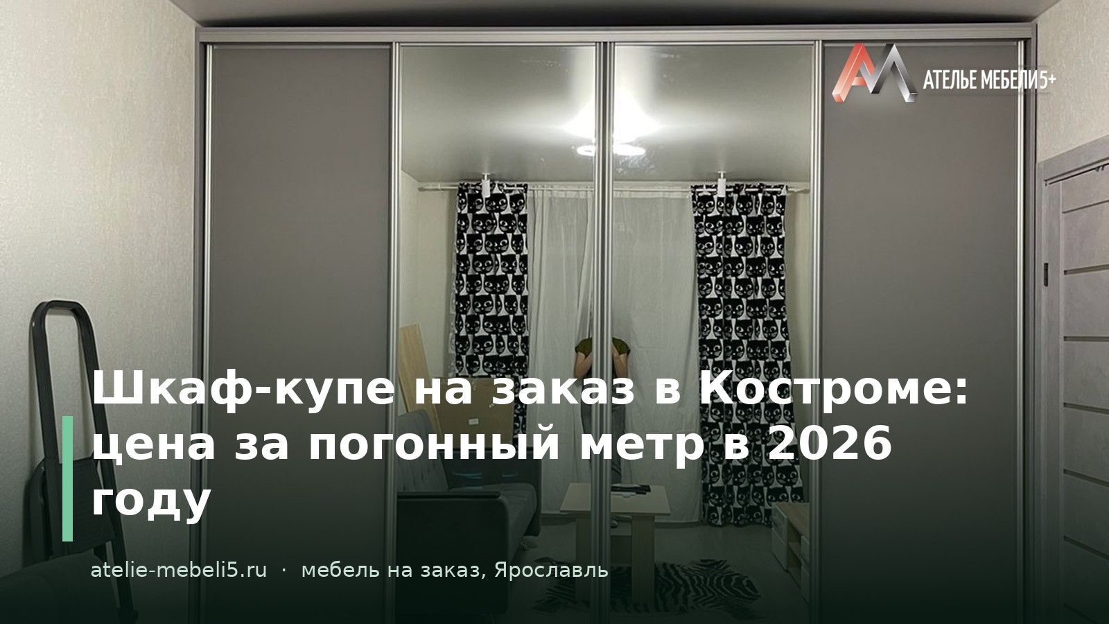 шкаф-купе на заказ Кострома